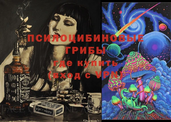 бошки Верея