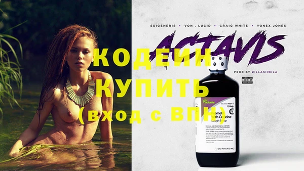 крисы Бугульма